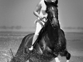 emmahorses 050_1