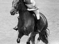 emmahorses 115_1
